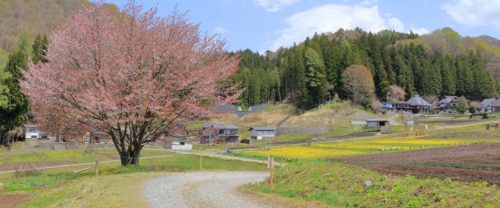 建築が分かればコストが分かる